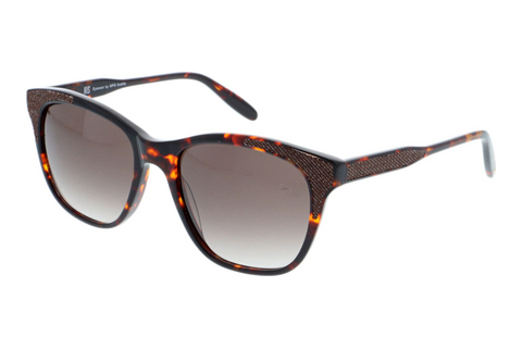 Óculos de marca HIS Eyewear HS368 007