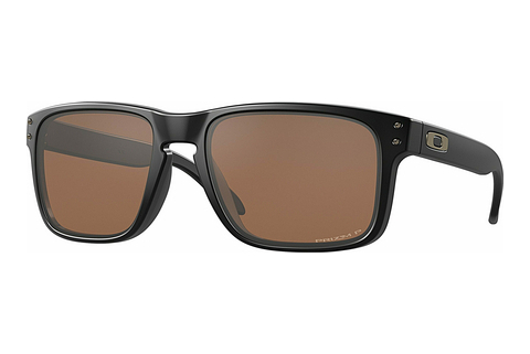 Óculos de marca Oakley HOLBROOK (OO9102 9102D7)