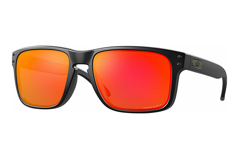 Óculos de marca Oakley HOLBROOK (OO9102 9102E2)