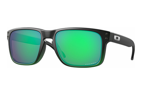 Óculos de marca Oakley HOLBROOK (OO9102 9102E4)