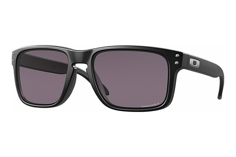 Óculos de marca Oakley HOLBROOK (OO9102 9102E8)