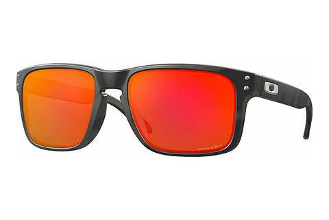 Óculos de marca Oakley HOLBROOK (OO9102 9102E9)