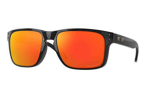 Óculos de marca Oakley HOLBROOK (OO9102 9102F1)