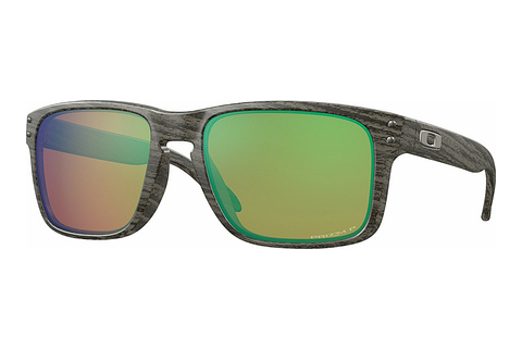 Óculos de marca Oakley HOLBROOK (OO9102 9102J8)