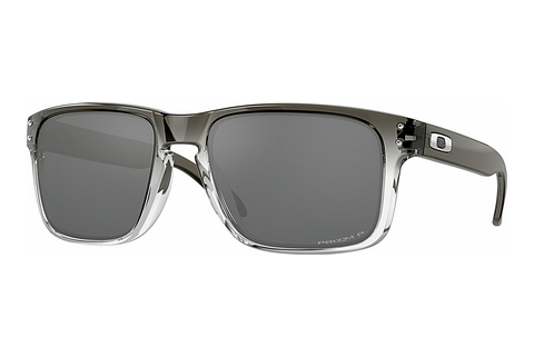 Óculos de marca Oakley HOLBROOK (OO9102 9102O2)