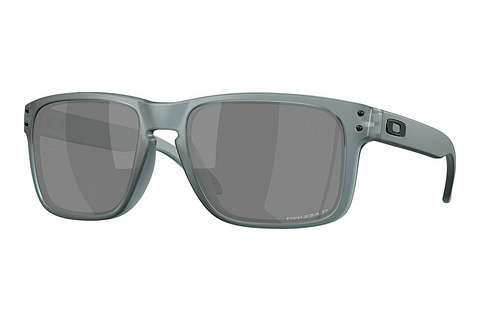 Óculos de marca Oakley HOLBROOK (OO9102 9102Z4)