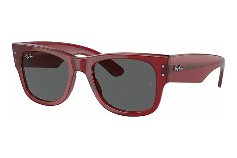 Óculos de marca Ray-Ban MEGA WAYFARER (RB0840S 6679B1)