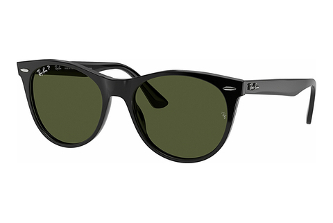 Óculos de marca Ray-Ban Wayfarer II (RB2185 901/58)