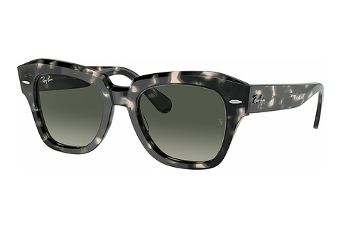 Óculos de marca Ray-Ban STATE STREET (RB2186 133371)