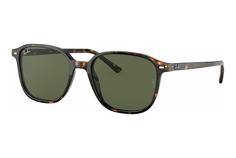 Óculos de marca Ray-Ban LEONARD (RB2193 902/31)