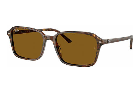 Óculos de marca Ray-Ban RAIMOND (RB2231 141833)