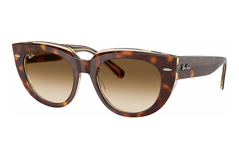 Óculos de marca Ray-Ban DOREEN (RB2286 141451)