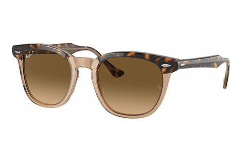 Óculos de marca Ray-Ban HAWKEYE (RB2298 1292M2)