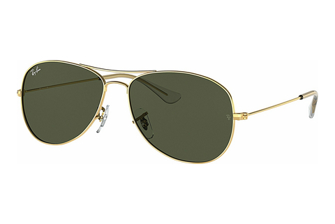 Óculos de marca Ray-Ban COCKPIT (RB3362 001)