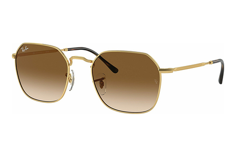 Óculos de marca Ray-Ban JIM (RB3694 001/51)