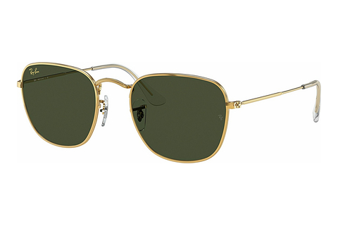 Óculos de marca Ray-Ban FRANK (RB3857 919631)