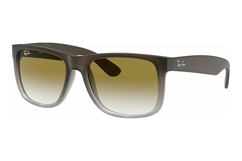 Óculos de marca Ray-Ban JUSTIN (RB4165 854/7Z)