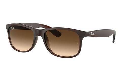 Óculos de marca Ray-Ban ANDY (RB4202 607313)