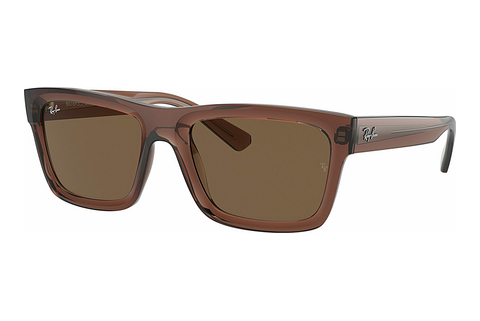 Óculos de marca Ray-Ban WARREN (RB4396 667873)