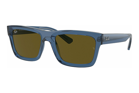 Óculos de marca Ray-Ban WARREN (RB4396 668073)