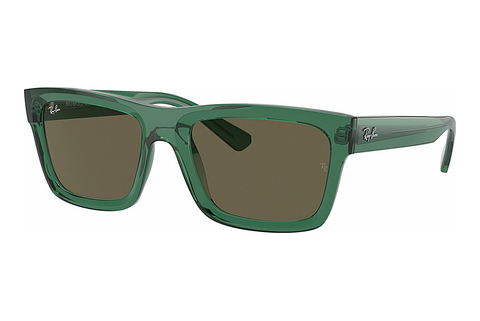 Óculos de marca Ray-Ban WARREN (RB4396 6681/3)