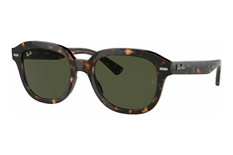 Óculos de marca Ray-Ban ERIK (RB4398 902/31)