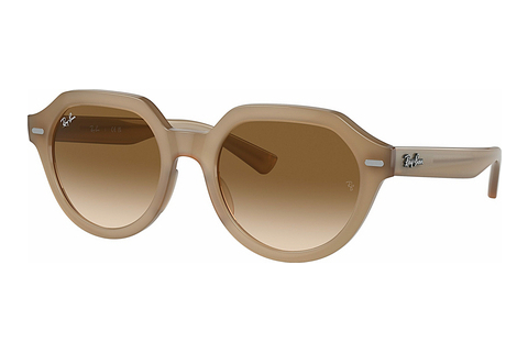 Óculos de marca Ray-Ban GINA (RB4399 616651)