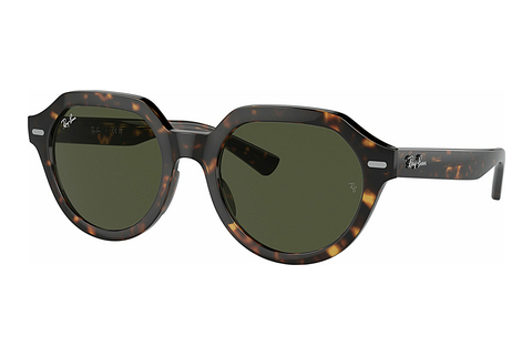 Óculos de marca Ray-Ban GINA (RB4399 902/31)