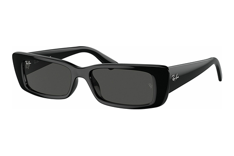 Óculos de marca Ray-Ban TERU (RB4425 667787)