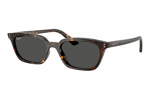 Óculos de marca Ray-Ban ZAYA (RB4456 135987)