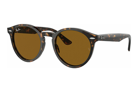 Óculos de marca Ray-Ban LARRY (RB7680S 902/33)