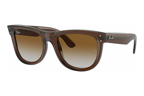 Óculos de marca Ray-Ban WAYFARER REVERSE (RBR0502S 6709CB)