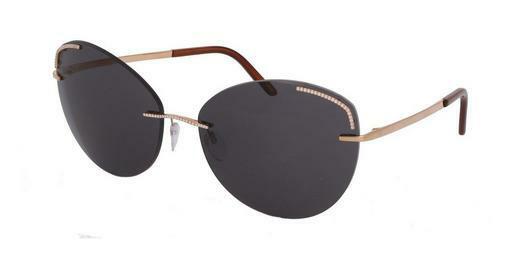 Óculos de marca Silhouette Atelier G502/75 9EE0