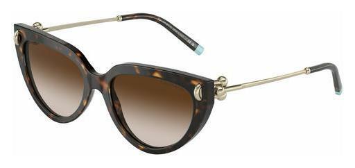 Óculos de marca Tiffany TF4195 80153B
