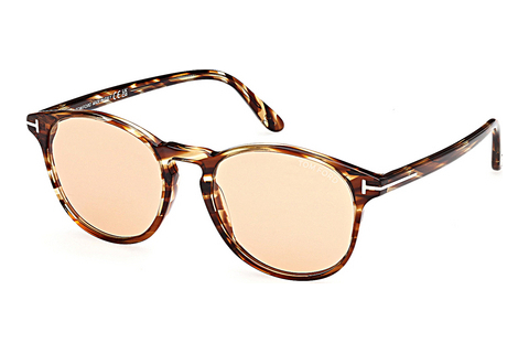 Óculos de marca Tom Ford Lewis (FT1097 55E)