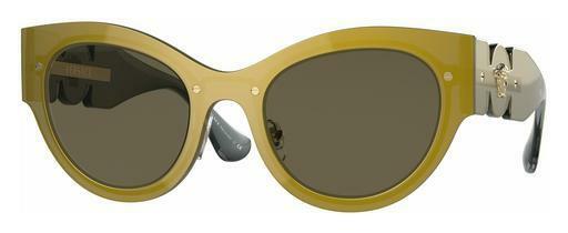 Óculos de marca Versace VE2234 1002/3