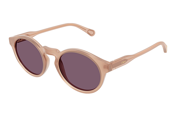 Óculos de marca Chloé CC0014S 002