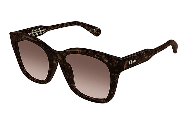 Óculos de marca Chloé CH0194SK 002