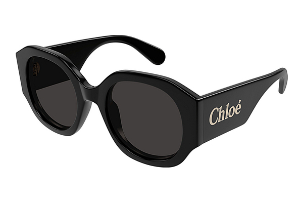 Óculos de marca Chloé CH0234S 001