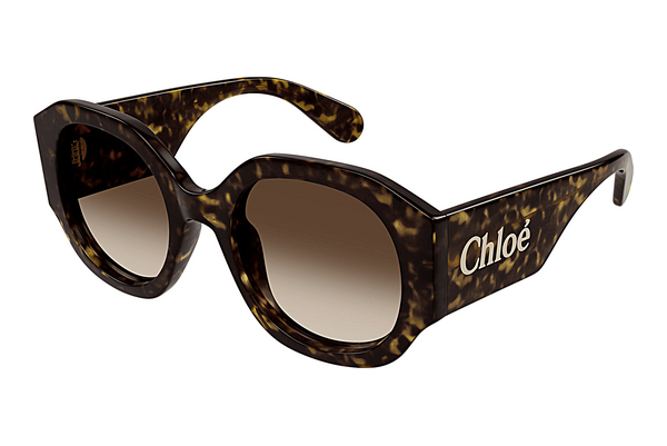 Óculos de marca Chloé CH0234SK 002