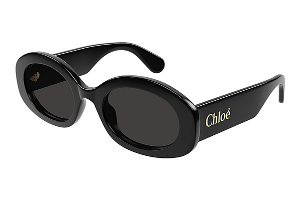 Óculos de marca Chloé CH0258S 001