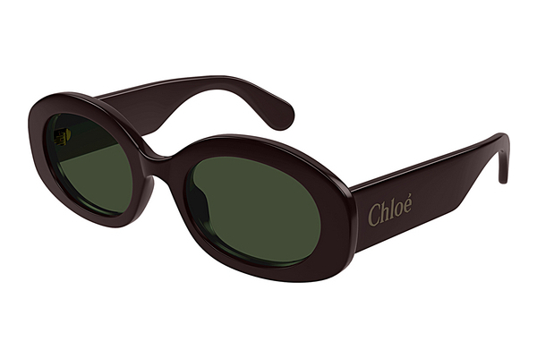 Óculos de marca Chloé CH0258S 003