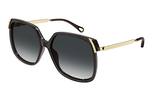 Óculos de marca Chloé CH0286S 001