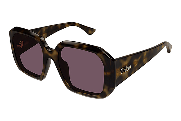 Óculos de marca Chloé CH0300S 002