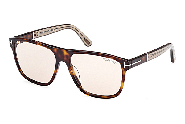 Óculos de marca Tom Ford Frances (FT1081 52E)