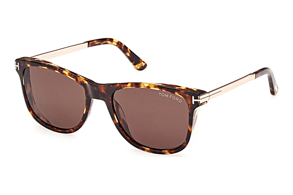 Óculos de marca Tom Ford Sinatra (FT1104 52E)