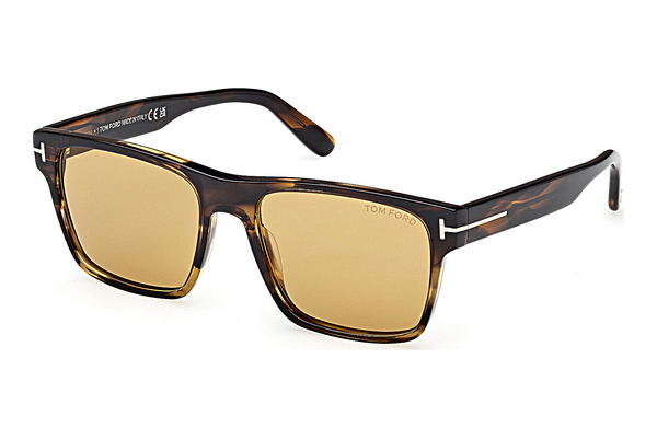 Óculos de marca Tom Ford Calder (FT1205 56E)